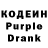 Кодеиновый сироп Lean Purple Drank Eisabeta Boran