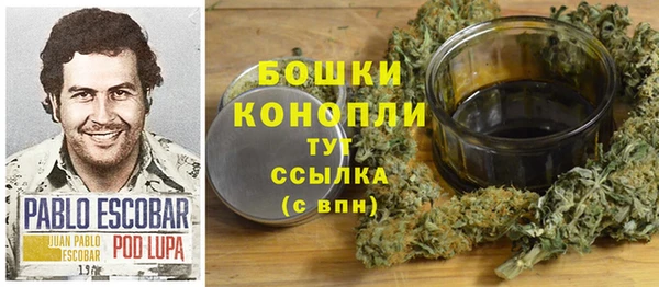 прущие грибы Анива