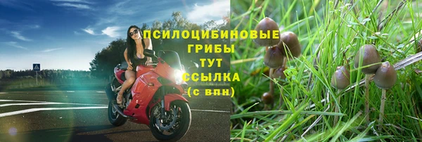 прущий лед Нефтекумск