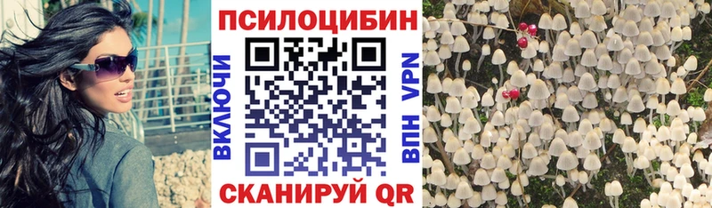 купить Армавир Галлюциногенные грибы Cubensis