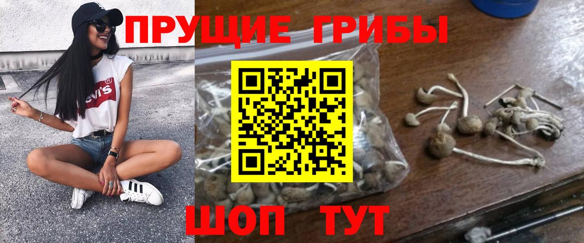 Армавир  Псилоцибиновые грибы прущие грибы  Вход с VPN 